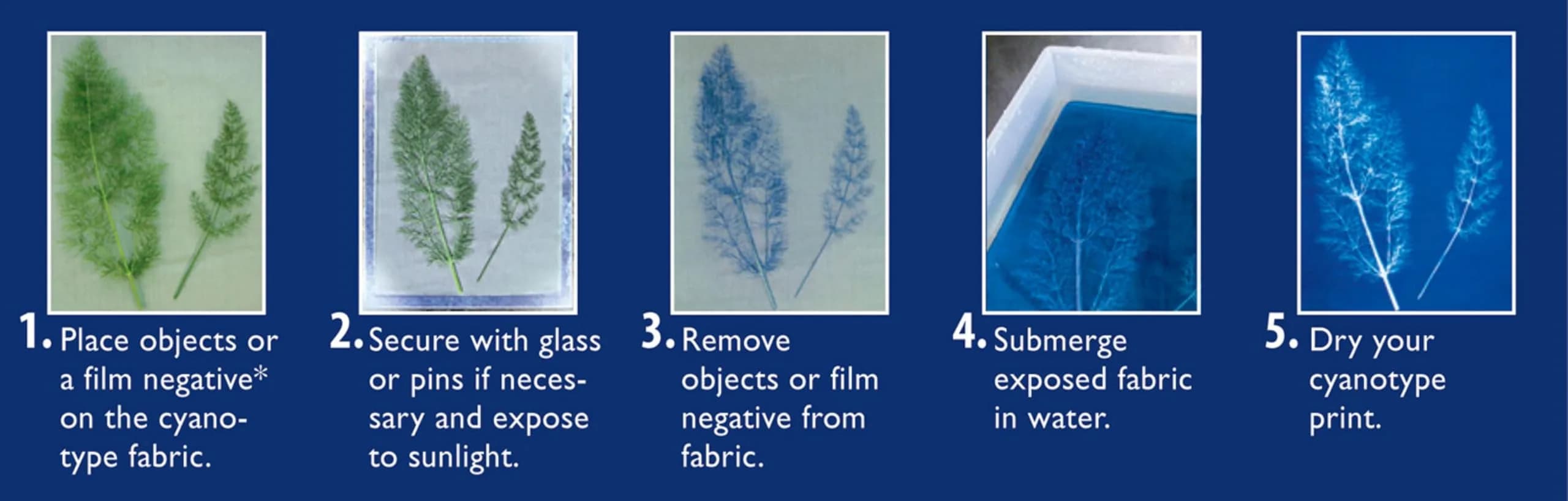 Jacquard Cyanotype Sensitizer Set | Ancient Photographic Process for Paper & Fabric Prints - view 4