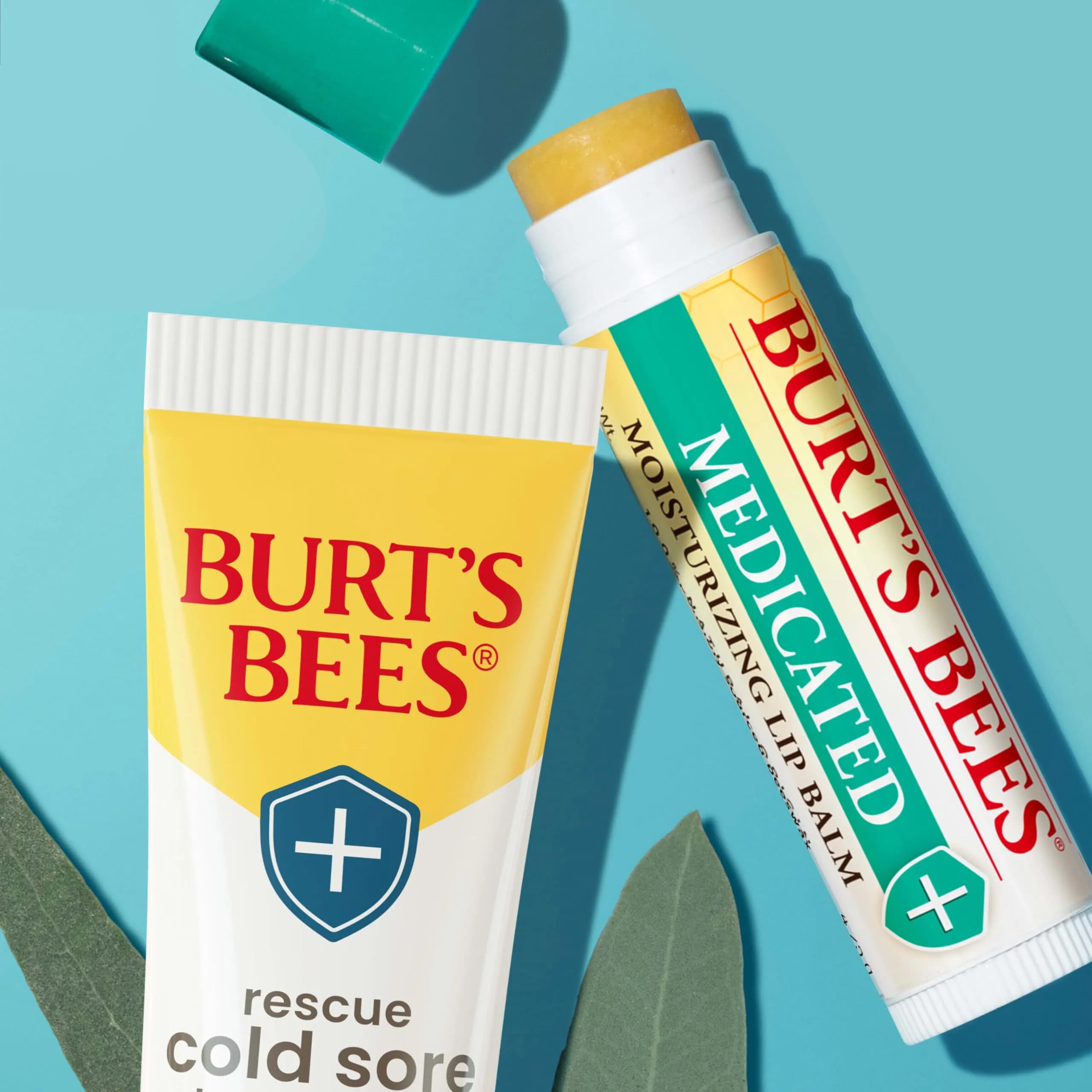 Burt's Bees Medicated Tint-Free Lip Balm 2 Count | Natural Conditioning Lip Treatment - view 2