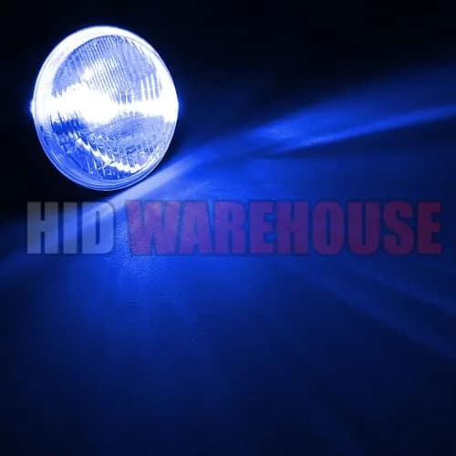 HID-Warehouse H1 Xenon Replacement Bulbs 30000K Deep Blue (Pair) | High Intensity Discharge Headlight Upgrade thumbnail 3