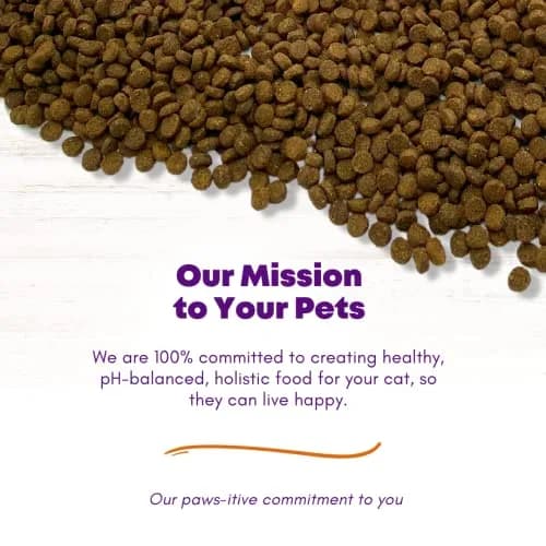 Canine Caviar Feline Caviar Open Range Buffalo & Chickpea 11 lbs | Grain-Free Limited Ingredient Cat Food thumbnail 5