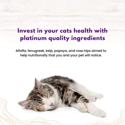 Canine Caviar Feline Caviar Open Range Buffalo & Chickpea 11 lbs | Grain-Free Limited Ingredient Cat Food thumbnail 6