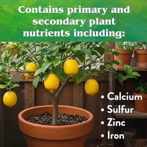 Down To Earth All Natural Fertilizers Organic Citrus Mix 1 lb | 6-3-3 NPK for Healthy Fruit Trees thumbnail 6