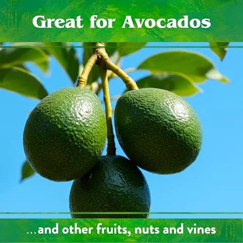 Down To Earth All Natural Fertilizers Organic Citrus Mix 1 lb | 6-3-3 NPK for Healthy Fruit Trees thumbnail 7