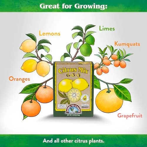 Down To Earth All Natural Fertilizers Organic Citrus Mix 1 lb | 6-3-3 NPK for Healthy Fruit Trees thumbnail 3