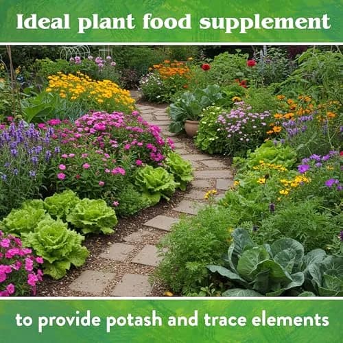 Down To Earth All Natural Fertilizers Organic Kelp Meal 0.5 lb | Supports Organic Gardens & Soil Health thumbnail 8