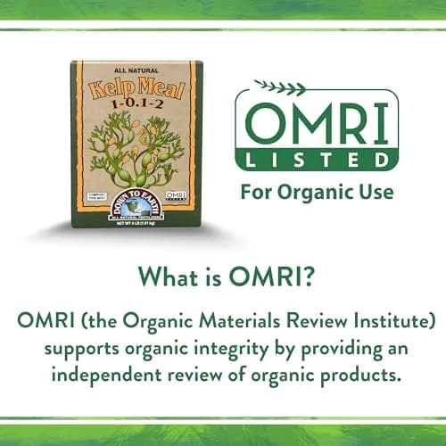 Down To Earth All Natural Fertilizers Organic Kelp Meal 0.5 lb | Supports Organic Gardens & Soil Health thumbnail 9