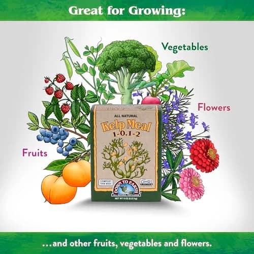 Down To Earth All Natural Fertilizers Organic Kelp Meal 0.5 lb | Supports Organic Gardens & Soil Health thumbnail 3