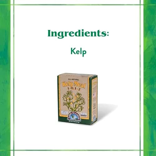 Down To Earth All Natural Fertilizers Organic Kelp Meal 0.5 lb | Supports Organic Gardens & Soil Health thumbnail 4