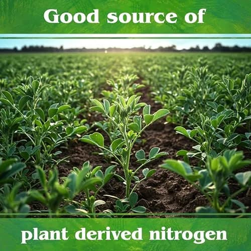 Down To Earth All Natural Fertilizers Organic Alfalfa Meal 0.5 lb | Supports Soil & Plant Growth thumbnail 7