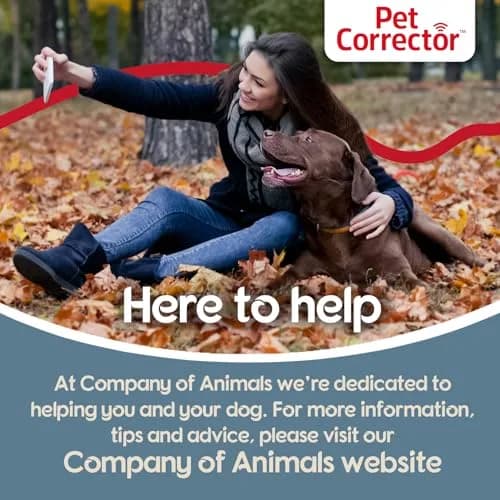 Pet Corrector Dog Trainer 30mL Pack of 4 | Humane Air Hiss Distraction Tool for Unwanted Dog Behaviors thumbnail 5