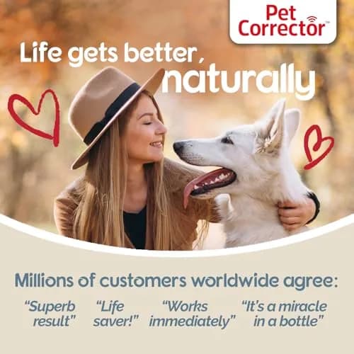 Pet Corrector Dog Trainer 30mL Pack of 4 | Humane Air Hiss Distraction Tool for Unwanted Dog Behaviors thumbnail 6
