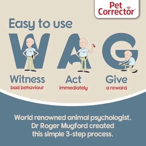 Pet Corrector Dog Trainer 30mL Pack of 4 | Humane Air Hiss Distraction Tool for Unwanted Dog Behaviors thumbnail 3