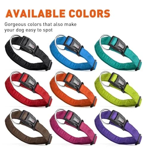 Dogline 15 to 25-Inch Comfort Microfiber Dog Collar | Soft Padded, Nylon Reinforced, Large, Black thumbnail 3