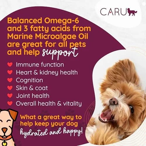 Caru Classics Pork Stew for Dogs 12 oz | Grain-Free, Human-Grade Ingredients, Supports Overall Dog Health thumbnail 2