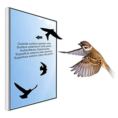 Decooo.be White Bird Strike Prevention Stickers | Set of 17 Silhouettes for Window Glass thumbnail 6