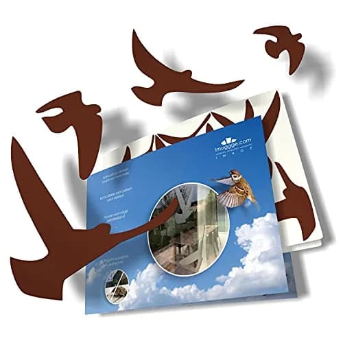 Decooo.be Anti-Collision Bird Strike Window Decals Set of 17 Silhouettes | Brown | Prevents Bird Collisions thumbnail 2
