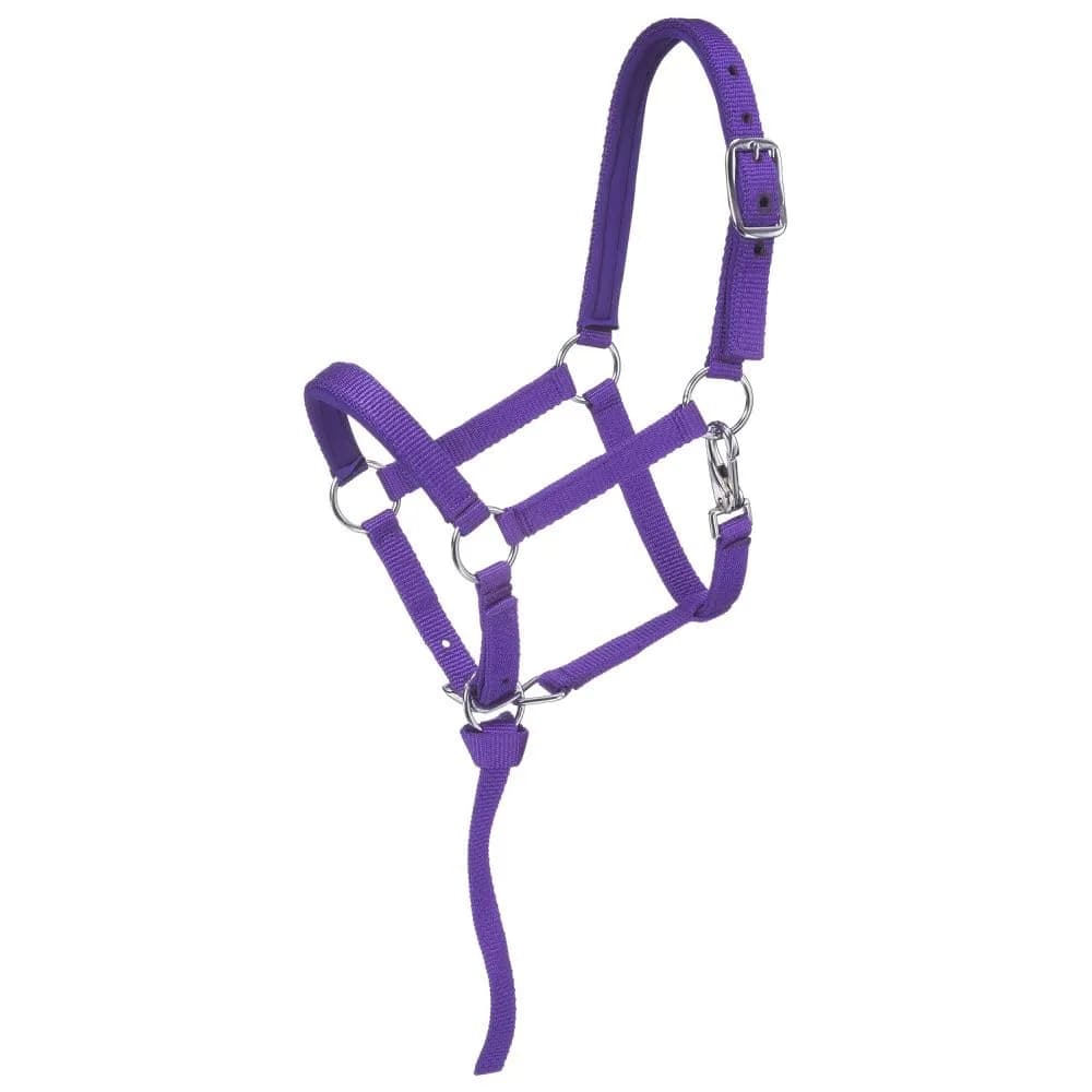Tough 1 Miniature Nylon Padded Halter - Purple - Large | Durable Nylon, Comfort Fit for Mini Horses — Purple