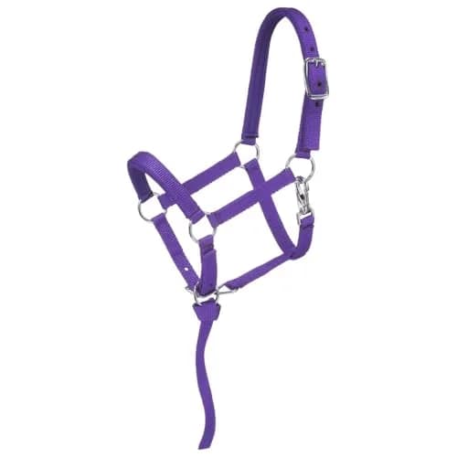 Tough 1 Miniature Nylon Padded Halter - Purple - Large | Durable Nylon, Comfort Fit for Mini Horses thumbnail 1