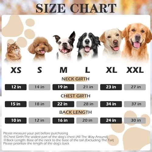 EXPAWLORER Dog Hoodie - Bad to The Bone Halloween Dog Sweater, XL | Cozy, Durable & Perfect for Cold Weather thumbnail 4