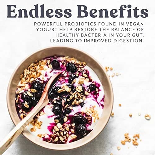 Cultures for Health Vegan Yogurt Starter Culture | 4 Packets | Dairy-Free Plant Milk Yogurt | Probiotic Gut Support thumbnail 4