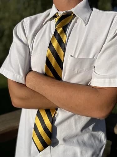 tiemart Striped Tie (Black and Gold) | Classic Pattern, 57" Length, Polyester thumbnail 2