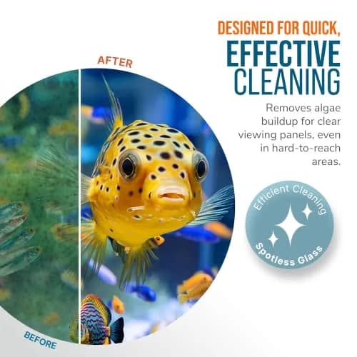 FL!PPER Aquarium Algae Scraper Blades 2 Pack | Stainless Steel Replacement for Glass Tanks ¼”–½” thumbnail 4