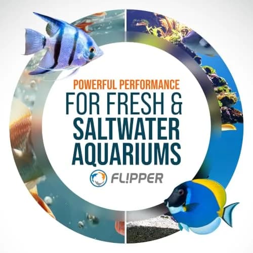 FL!PPER Aquarium Algae Scraper Blades 2 Pack | Stainless Steel Replacement for Glass Tanks ¼”–½” thumbnail 7
