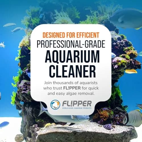 FL!PPER Aquarium Algae Scraper Blades 2 Pack | Stainless Steel Replacement for Glass Tanks ¼”–½” thumbnail 8