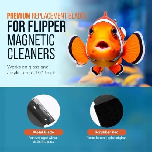 FL!PPER Aquarium Algae Scraper Blades 2 Pack | Stainless Steel Replacement for Glass Tanks ¼”–½” thumbnail 3