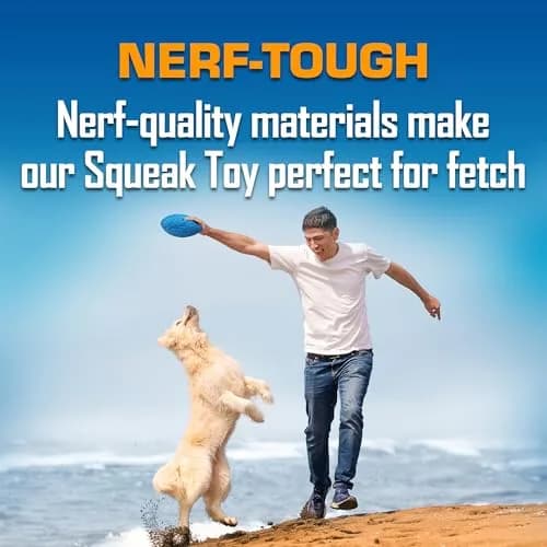 Nerf Dog Tire Squeak Football 15cm (6 Inch) | Durable Outdoor Dog Toy for Medium & Large Breeds thumbnail 4