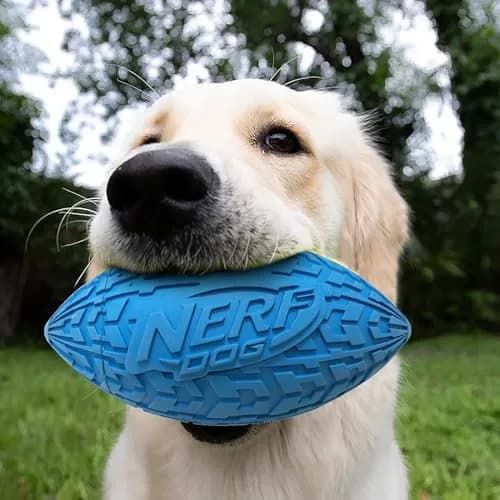 Nerf Dog Tire Squeak Football 15cm (6 Inch) | Durable Outdoor Dog Toy for Medium & Large Breeds thumbnail 7
