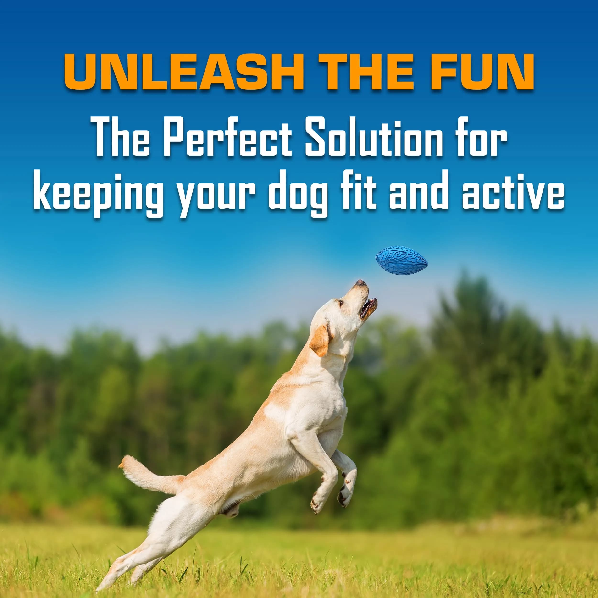 Nerf Dog Tire Squeak Football 15cm (6 Inch) | Durable Outdoor Dog Toy for Medium & Large Breeds - view 3