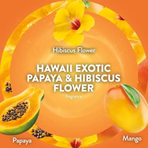 Air Wick Scented Oil Refills, Hawaii Exotic Papaya & Hibiscus Flower | Long-lasting tropical fragrance infused with natural essential oils thumbnail 6