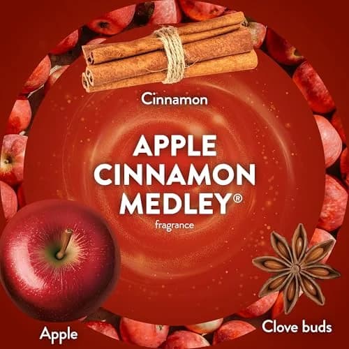 Air Wick Plug In Refill Apple Cinnamon Medley Scented Oil 5ct | Infused with Essential Oils thumbnail 4