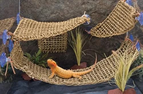 Penn-Plax Reptology Lizard Lounger Corner Triangle 38cm (15") | Natural Seagrass Fiber Perch for Reptiles thumbnail 2