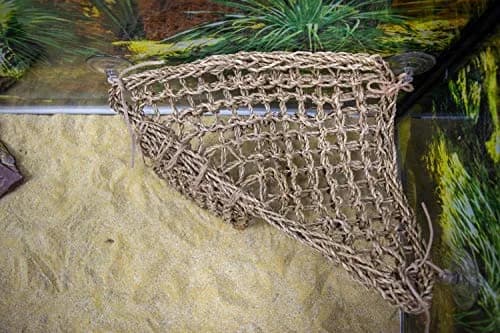 Penn-Plax Reptology Lizard Lounger Corner Triangle with Ladder, Large 45.7cm (18") x 27.9cm (11") | Natural Seagrass Fiber for Reptiles thumbnail 3