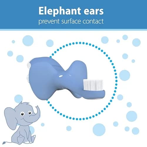 Dr. Brown's Infant-to-Toddler Toothbrush Elephant Blue | BPA-Free Training Toothbrush for Ages 0-3 Years thumbnail 4