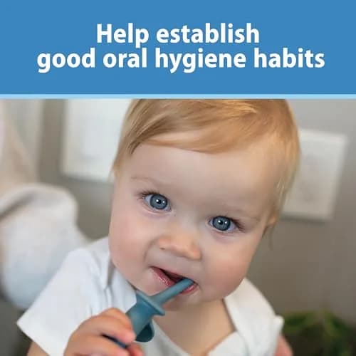 Dr. Brown's Infant-to-Toddler Toothbrush Elephant Blue | BPA-Free Training Toothbrush for Ages 0-3 Years thumbnail 6