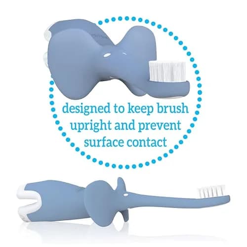 Dr. Brown's Infant-to-Toddler Toothbrush Elephant Blue | BPA-Free Training Toothbrush for Ages 0-3 Years thumbnail 8