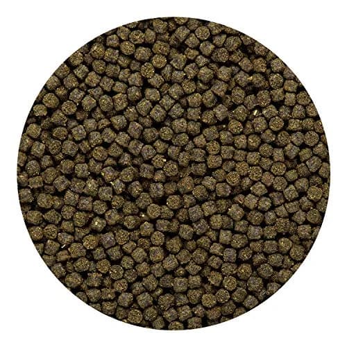 Hikari Sinking Goldfish Excel Fish Food 3.8 oz. (110g) | Supports Color & Growth thumbnail 4