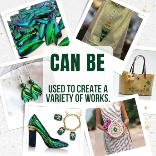 Angelwing Jewel Beetle Elytra Green Wings 200 Pcs | Natural Taxidermy Jewelry Supplies thumbnail 4