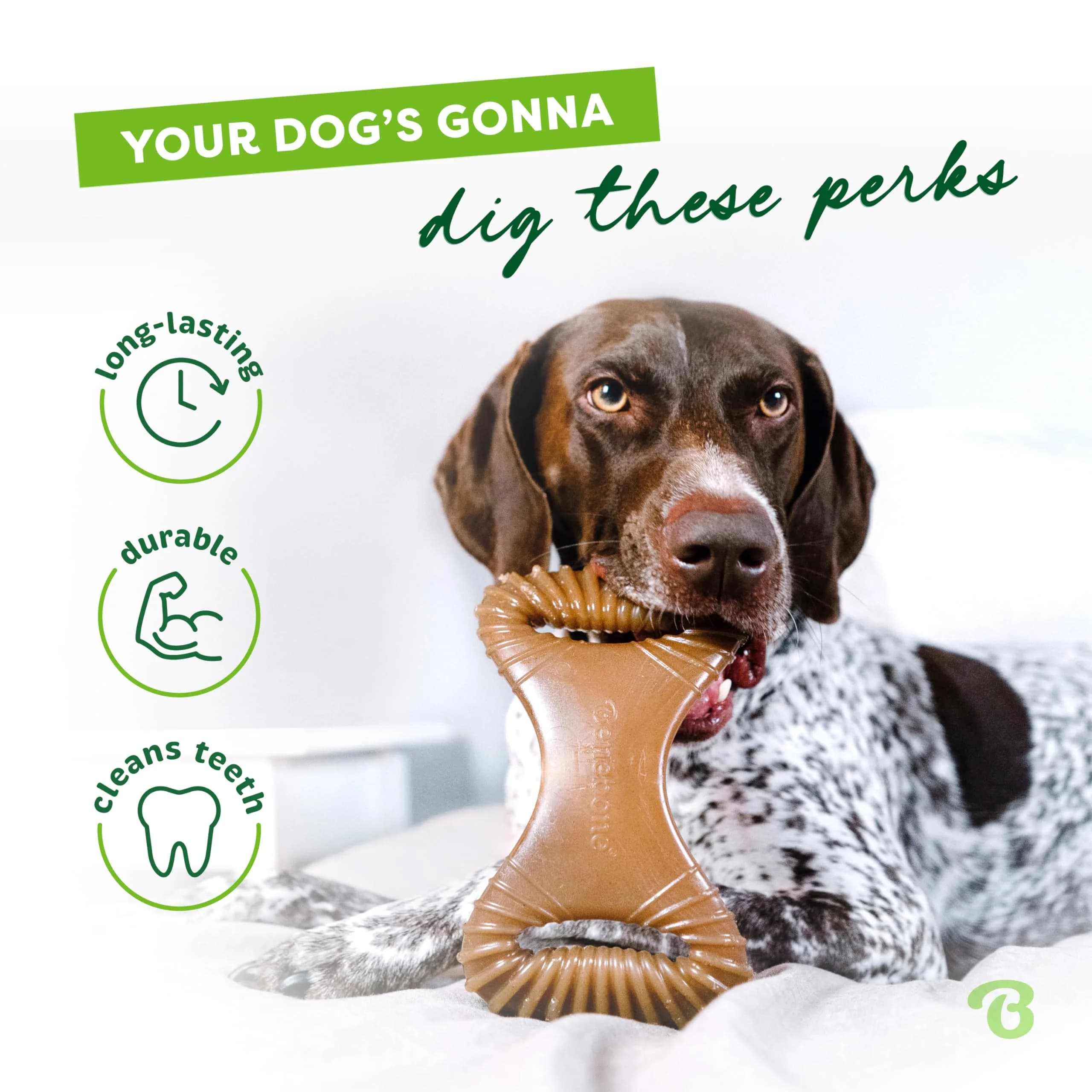 Benebone Dental Chew Toy for Dogs - Real Bacon Flavor, Medium Size for Aggressive Chewers - view 3