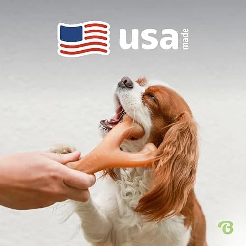Benebone Wishbone Durable Dog Chew Toy Large Real Bacon Flavor | Tough Nylon for Aggressive Chewers thumbnail 5