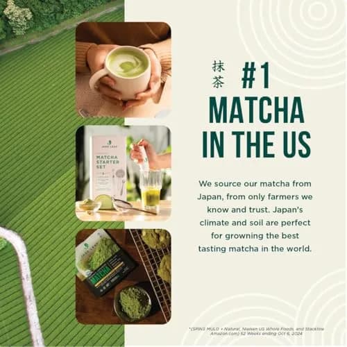 Jade Leaf Ceremonial Grade Matcha Powder, 30g / 1.06oz Tin | First-Harvest Organic Japanese Matcha thumbnail 9