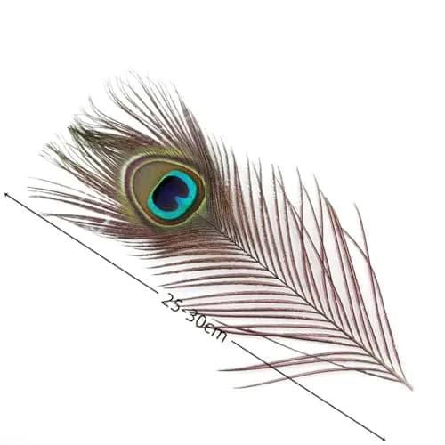 Shekyeon Natural Peacock Feathers 10-12inch | Wedding & Party Decor (110 chars) thumbnail 2