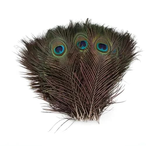 Shekyeon Natural Peacock Feathers 10-12inch | Wedding & Party Decor (110 chars) thumbnail 3