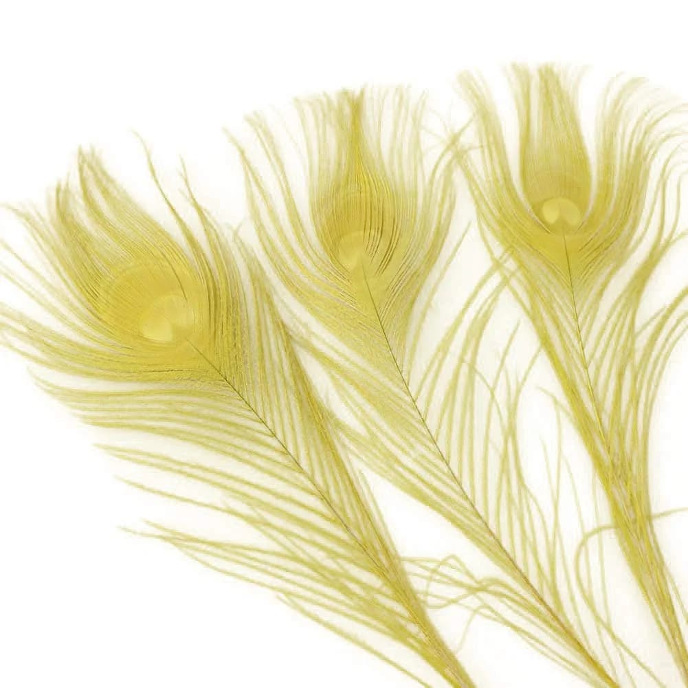Shekyeon Natural Dyeing Peacock Feathers 25-30cm (10-12 Inch) Pack of 10 | Off-White Wedding & Craft Decor — Yellow