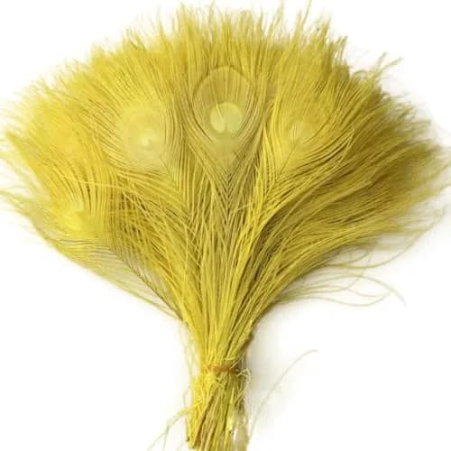 Shekyeon Natural Peacock Feathers, 10-12 Inch (25-30cm) Bleached Plume, Pack of 10 (Yellow) | Wedding & Table Centerpiece Craft Supply thumbnail 3