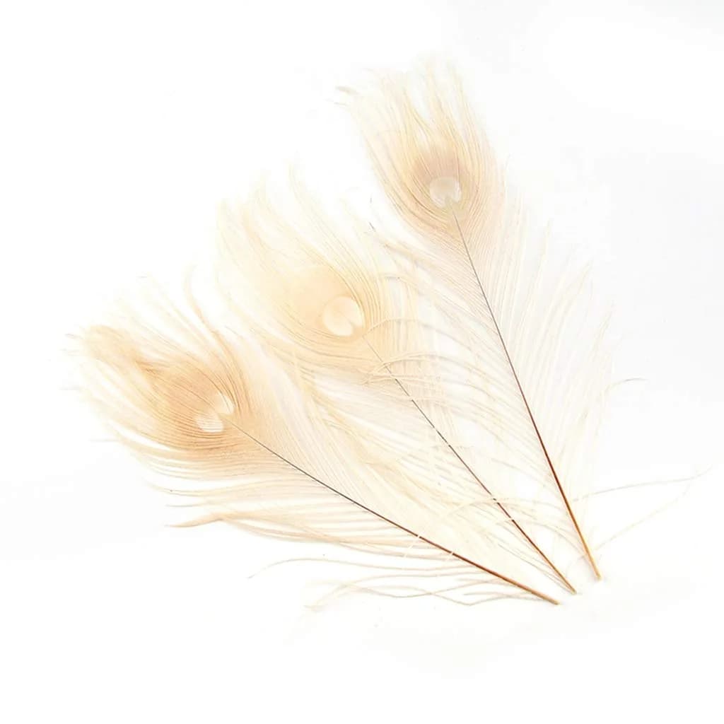 Shekyeon Natural Dyeing Peacock Feathers 25-30cm (10-12 Inch) Pack of 10 | Off-White Wedding & Craft Decor — White