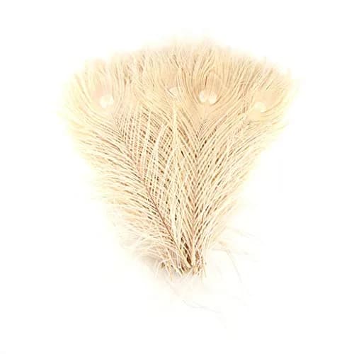 Shekyeon Natural Dyeing Peacock Feathers 25-30cm (10-12 Inch) Pack of 10 | Off-White Wedding & Craft Decor thumbnail 2